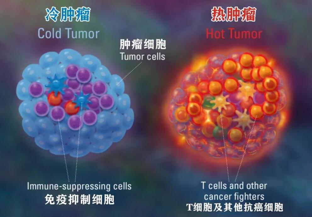 QQ截图20221230082039.jpg
